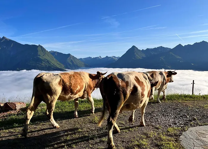 Apartamento Bodnlois